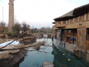 La réserve des hippopotames